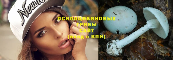хмурый Алексин