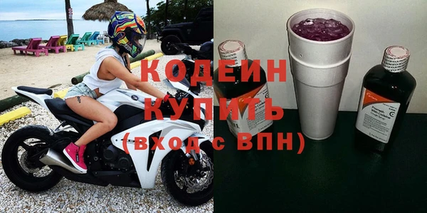 хмурый Алексин
