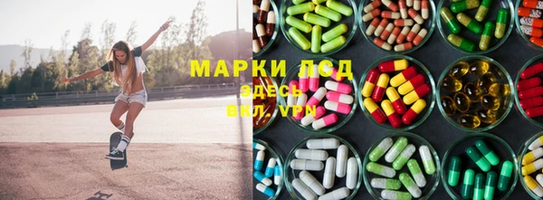 МДПВ Алзамай