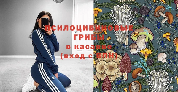 мяу мяу мука Алексеевка