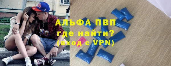 хмурый Алексин