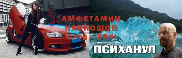 хмурый Алексин