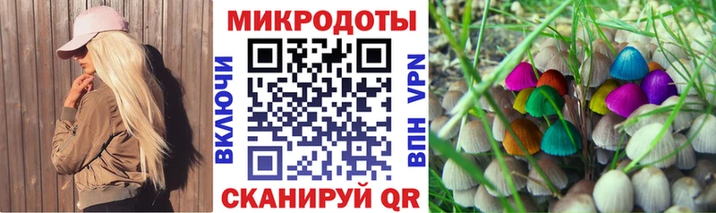 Галлюциногенные грибы Psilocybine cubensis  Канаш 